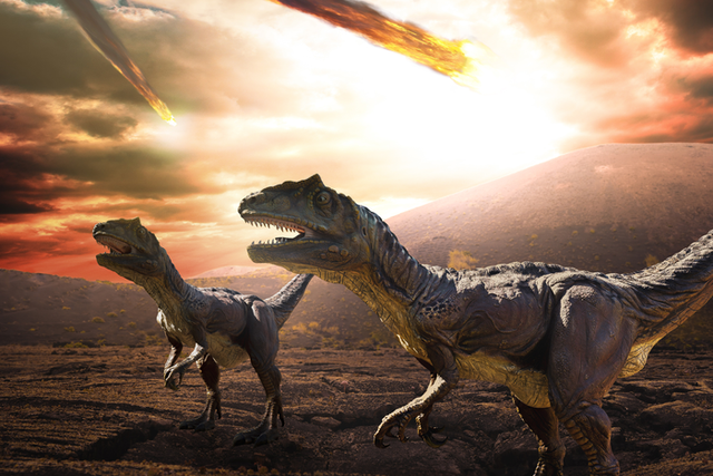 <p>Scientists believe dinosaur fossils could influence future cancer treatments for humans</p>