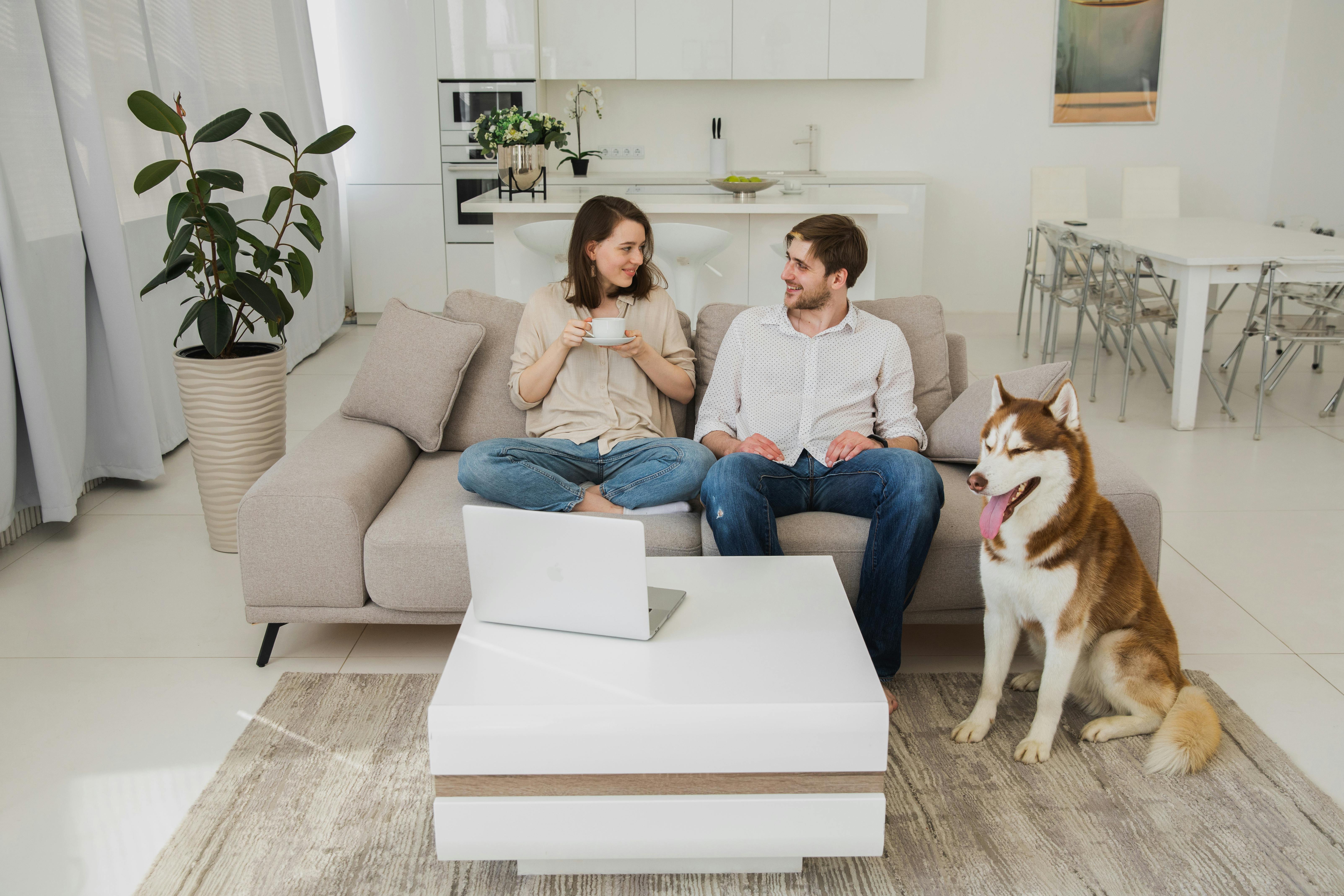 In most European countries, a quarter to half of households own at least one dog